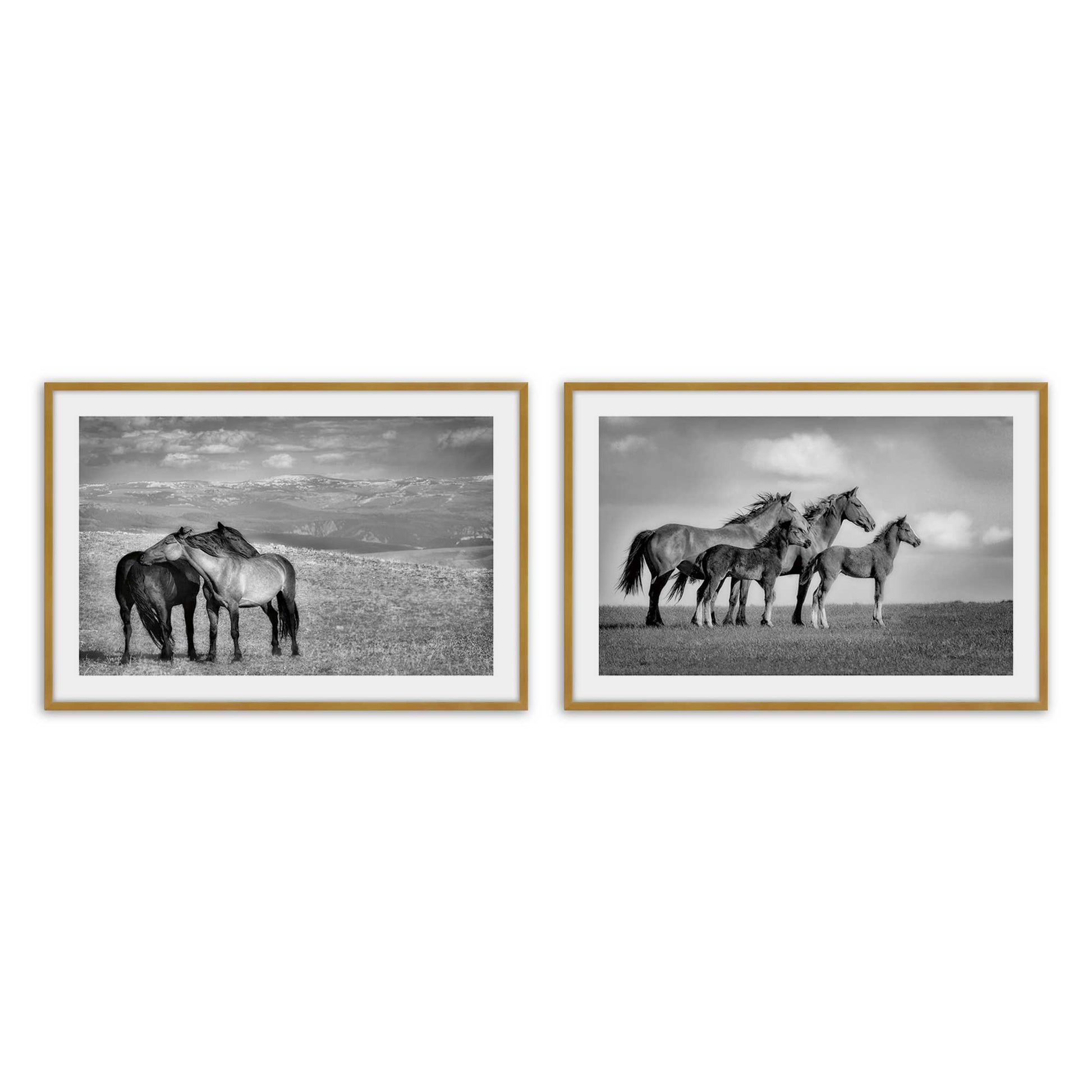 [Color:Polished Gold], Picture of art in a Polished Gold frame
