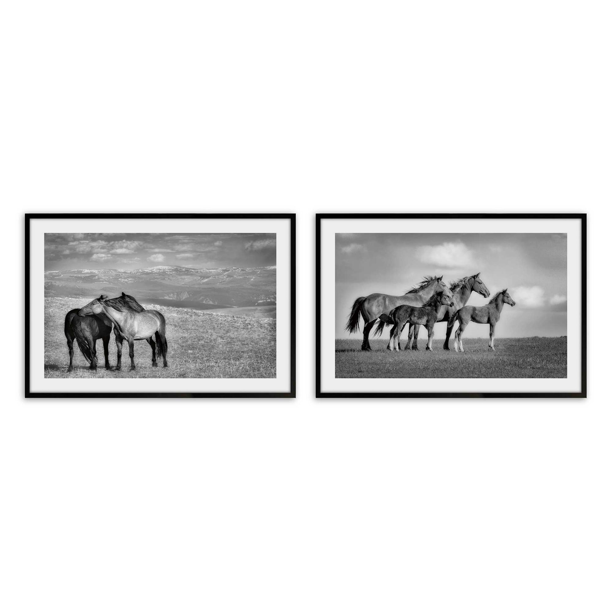 [Color:Satin Black],Front image of the art