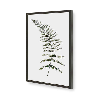 [Color:Satin Black], Picture of art in a Satin Black frame of the corner