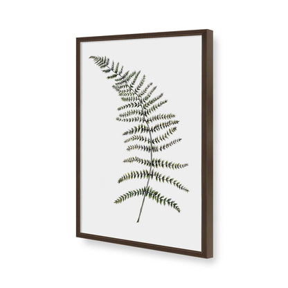 [Color:Brown], Picture of art in a Brown frame of the corner