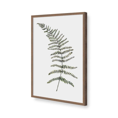 [Color:Walnut], Picture of art in a Walnut frame of the corner