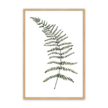 [Color:American Maple], Picture of art in a American Maple frame