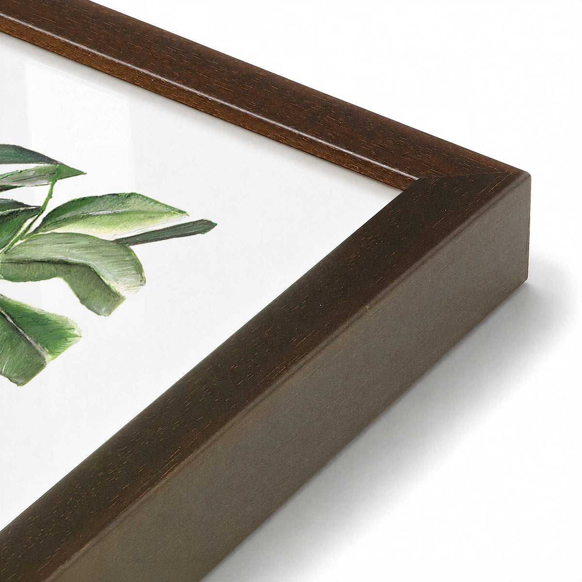 [Color:Belvinder Brown], Picture of art in a Belvinder Brown frame at an angle
