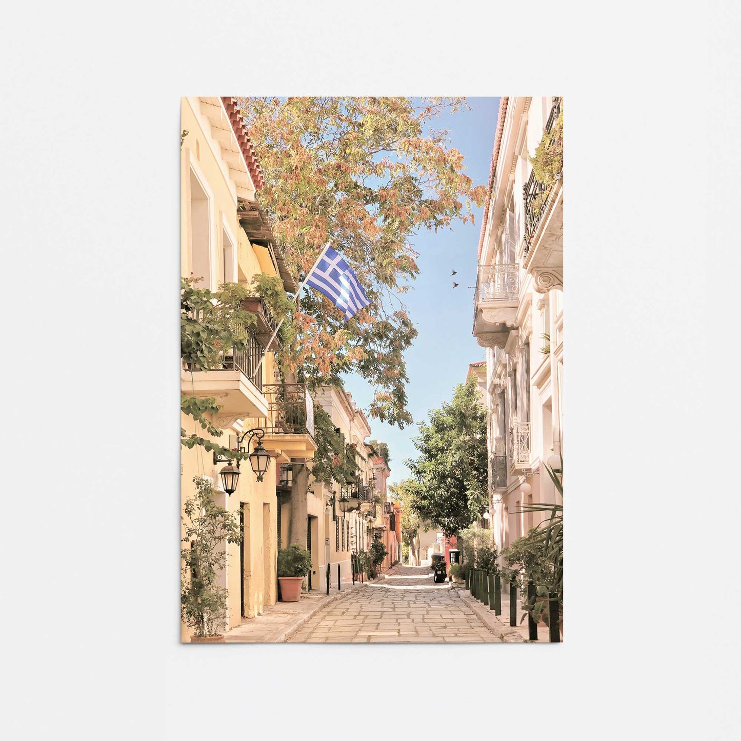 [Color:Rolled Print], Picture of close up of art