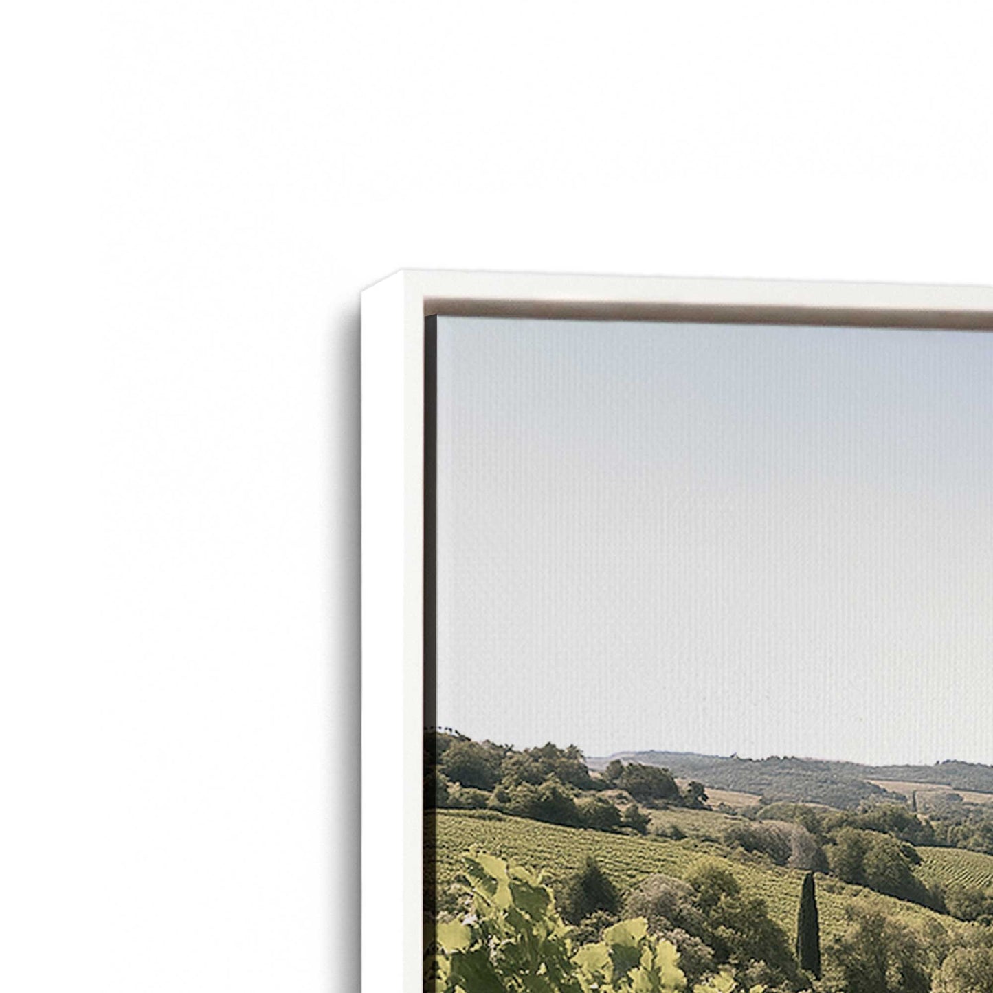 [Color:Opaque White], Picture of art in a White frame at an angle