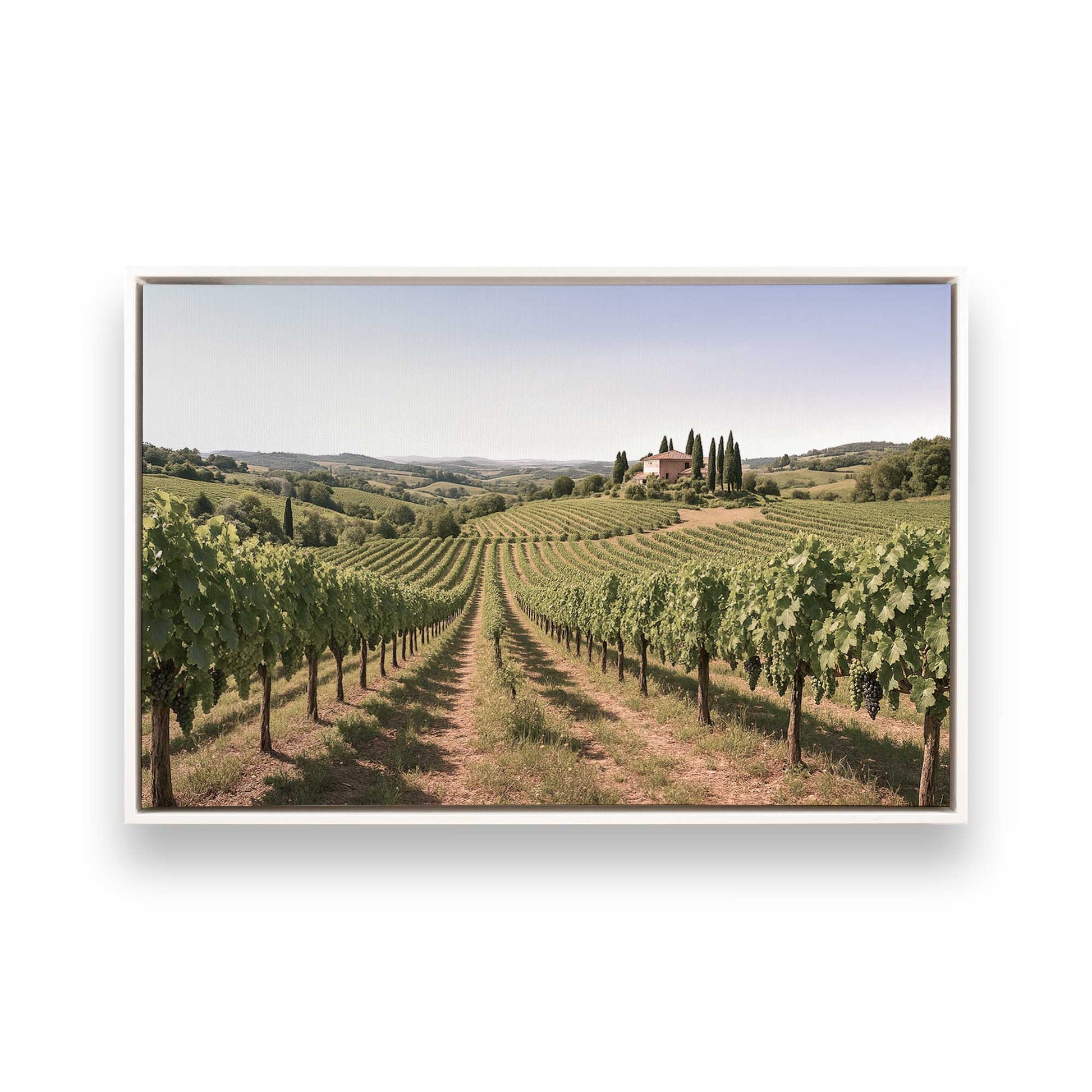 [Color:Opaque White], Picture of art in a White frame