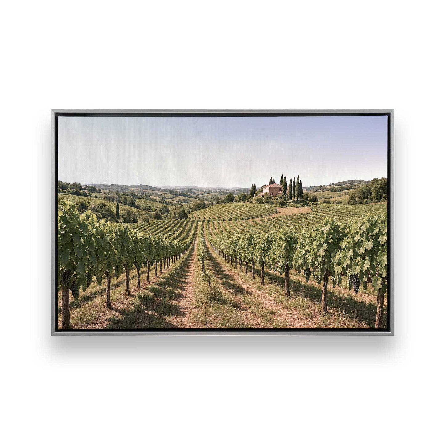 [Color:Polished Chrome], Picture of art in a Polished Chrome frame