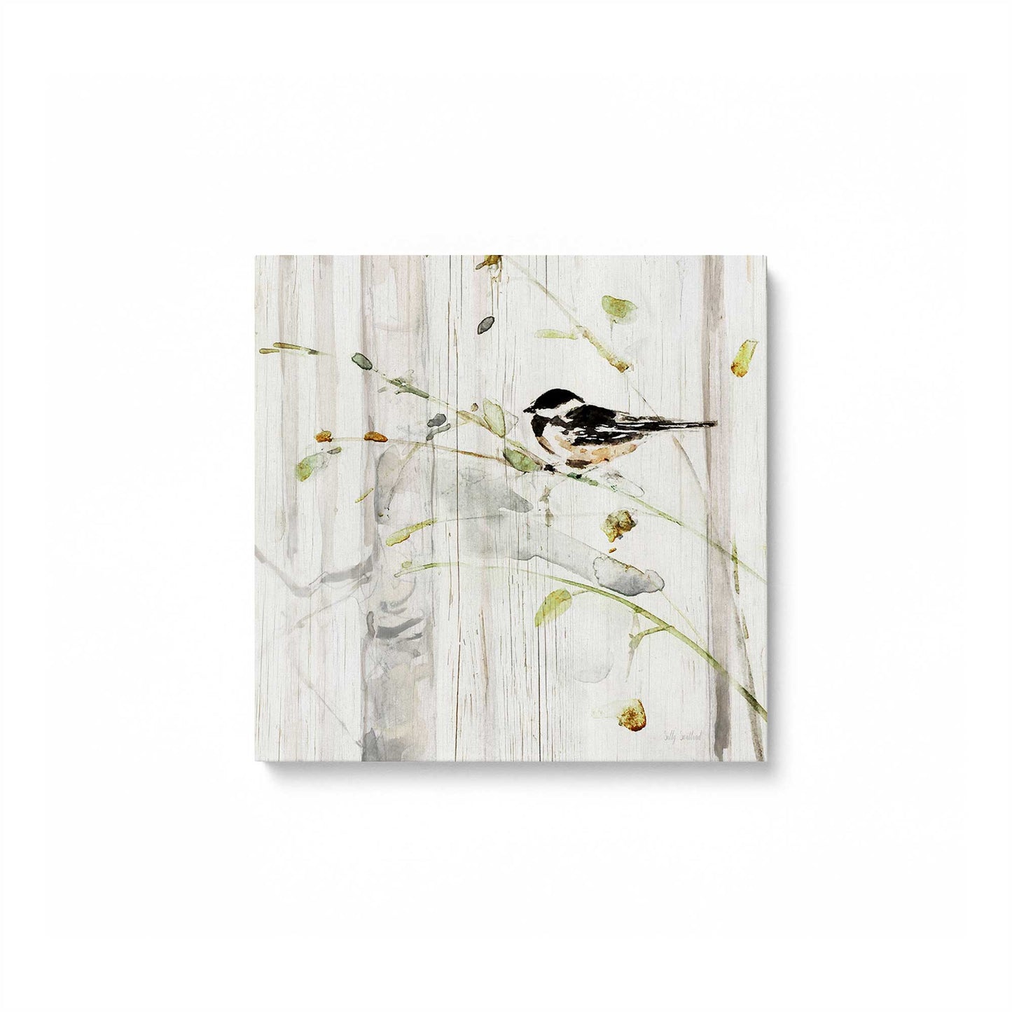 [Color:Stretched Canvas], Picture of art