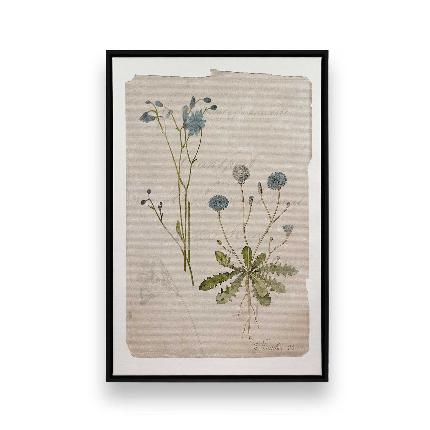 [Color:Satin Black], Picture of art in a Satin Black frame