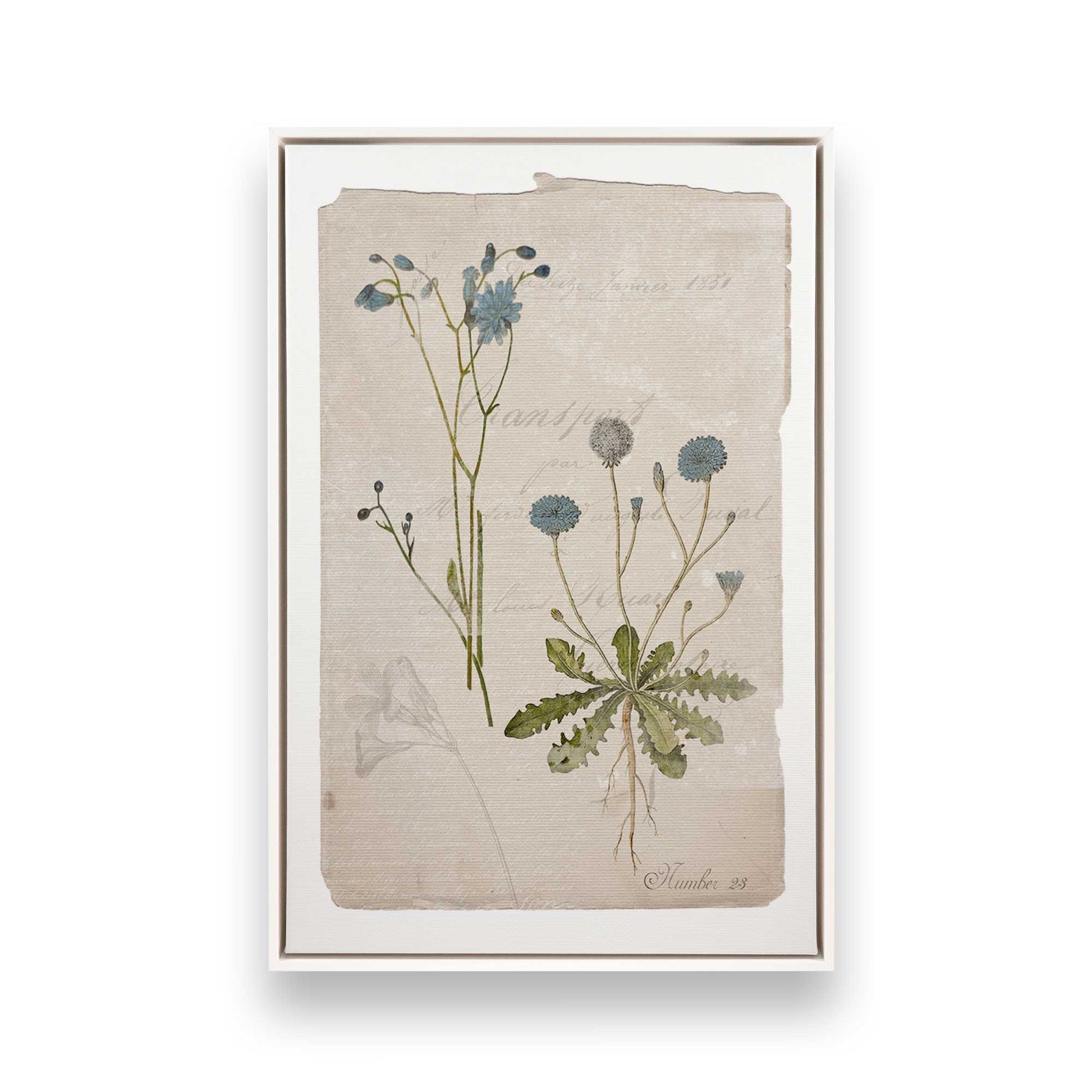 [Color:Opaque White], Picture of art in a White frame