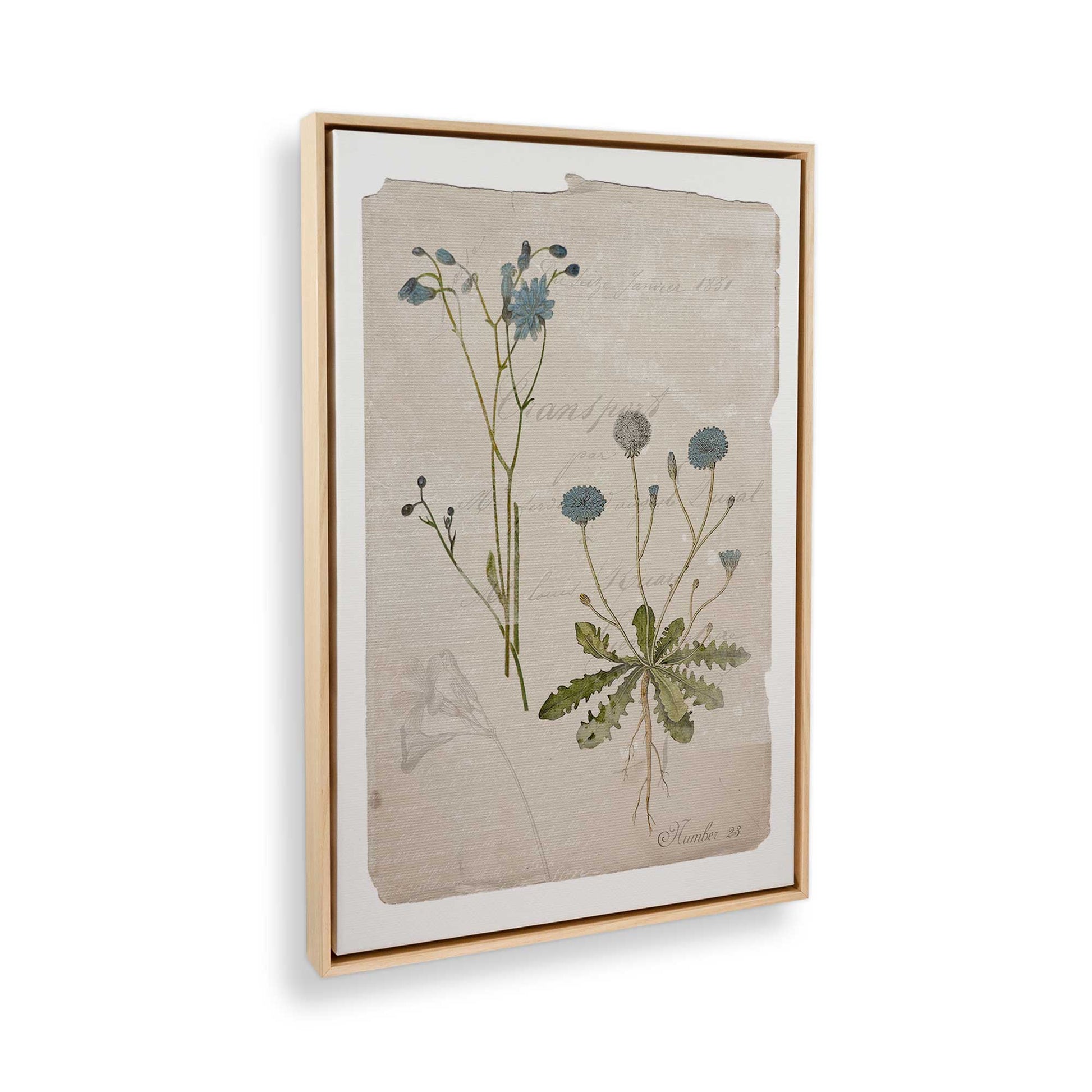 [Color:American Maple], Picture of the corner of the art