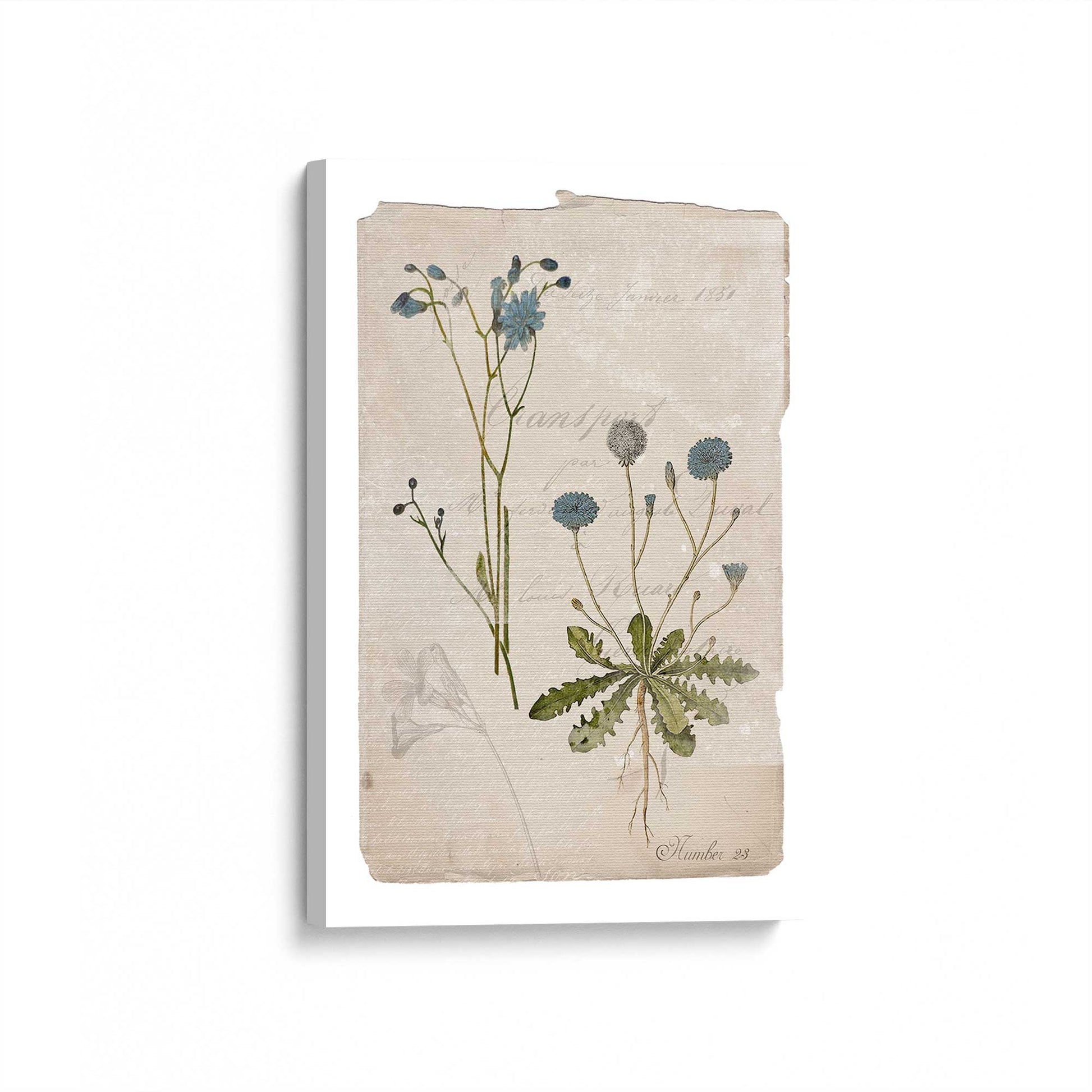 [Color:Stretched Canvas], Picture of art at an angle
