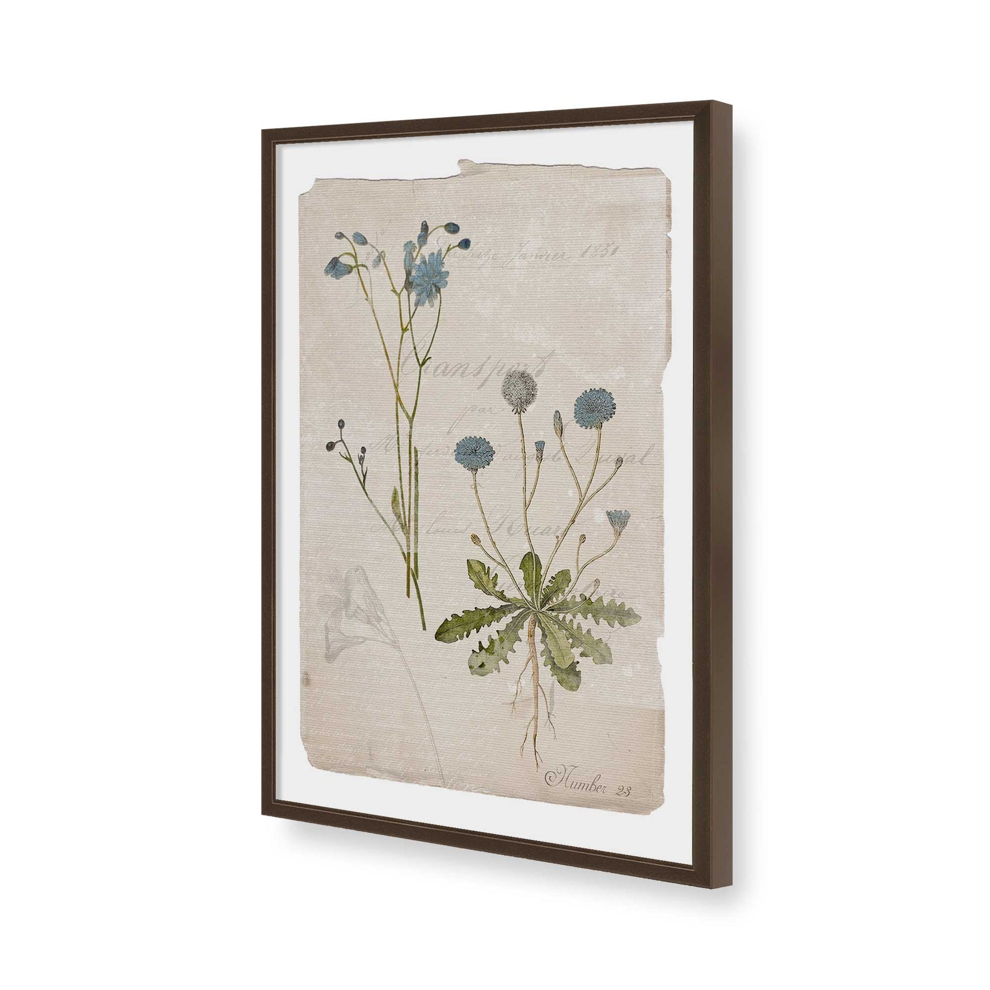 [Color:Brown], Picture of art in a Brown frame of the corner