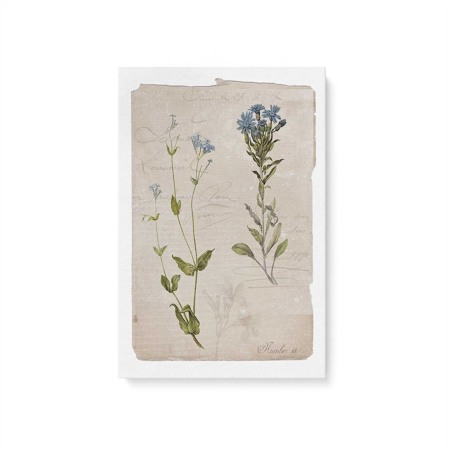 [Color:Stretched Canvas], Picture of art