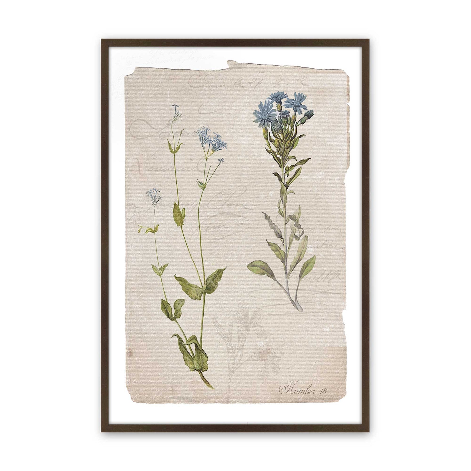 [Color:Belvinder Brown], Picture of art in a Belvinder Brown frame