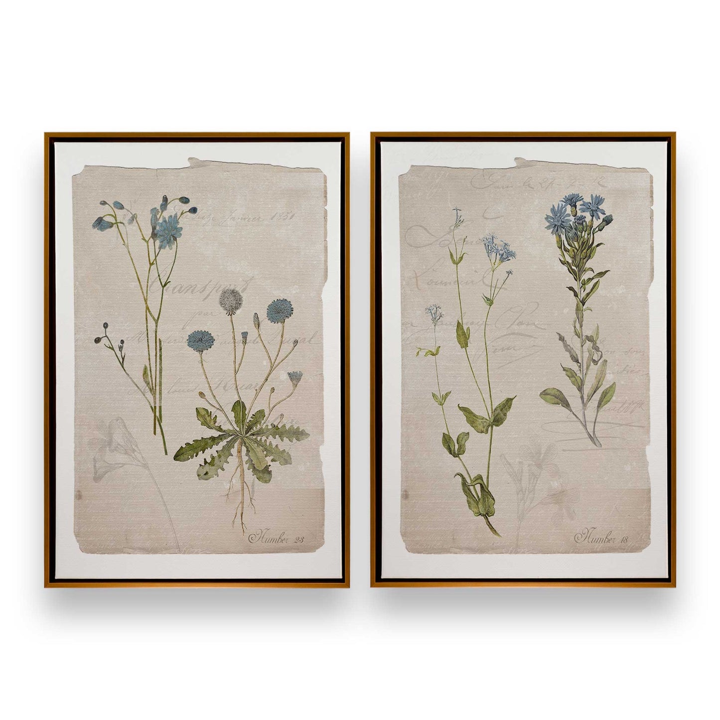[Color:Polished Gold], Picture of art in a Polished Gold frame