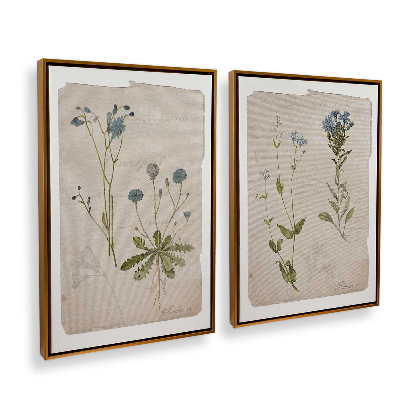 [Color:Polished Gold], Picture of art in a Polished Gold frame at an angle
