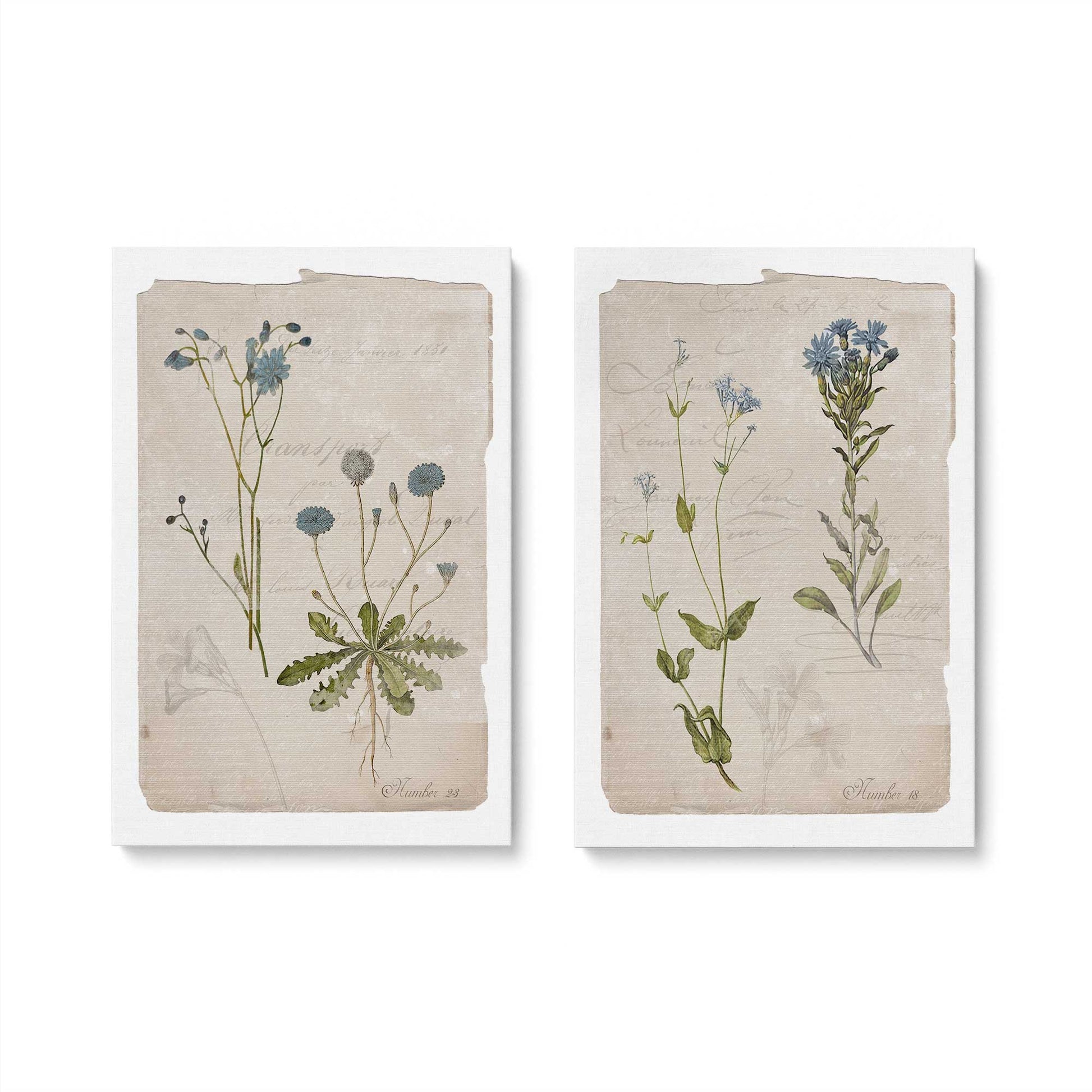 [Color:Stretched Canvas], Picture of art