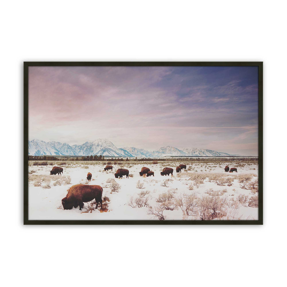 [Color:Satin Black], Picture of art in a Satin Black frame