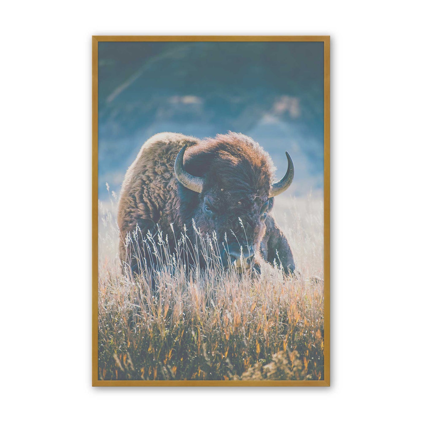 [Color:Polished Gold], Picture of art in a Polished Gold frame