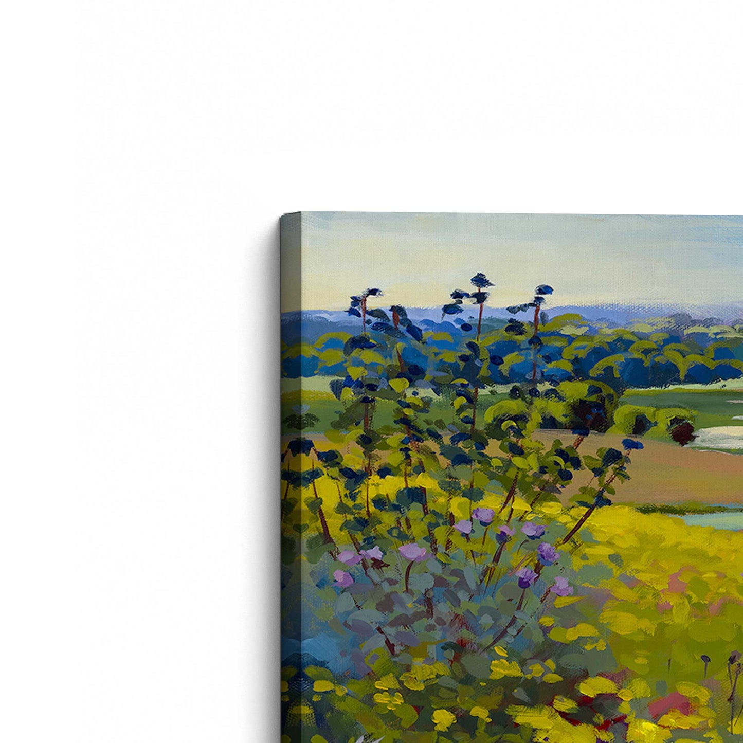 [Color:Stretched Canvas], Picture of the corner of the art