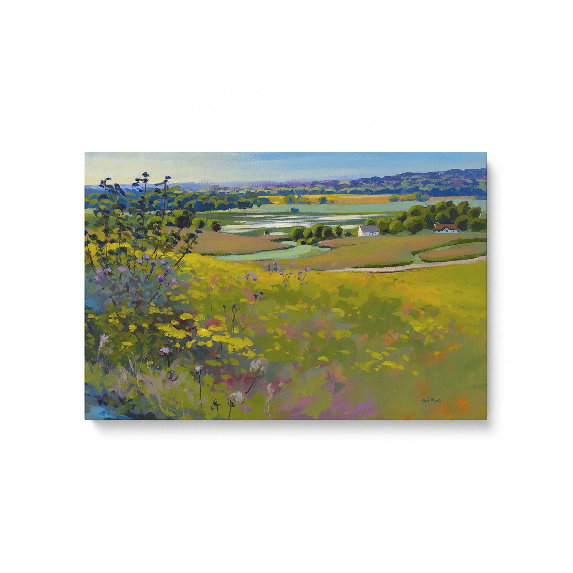 [Color:Stretched Canvas], Picture of art