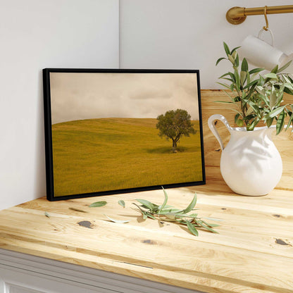 Solitary Tree in the Field Canvas Print
