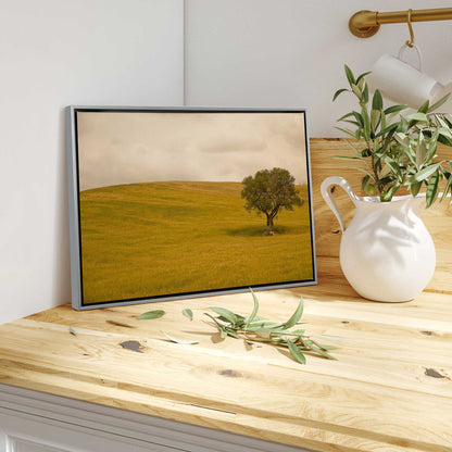 Solitary Tree in the Field Canvas Print
