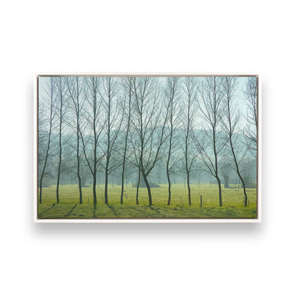 [Color:White], Picture of art in a White frame