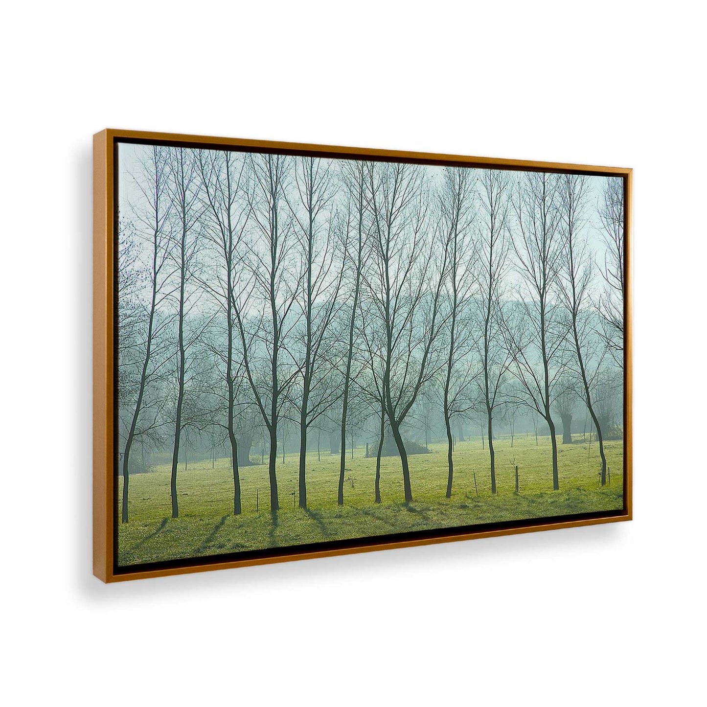 [Color:Polished Gold], Picture of the corner of the art