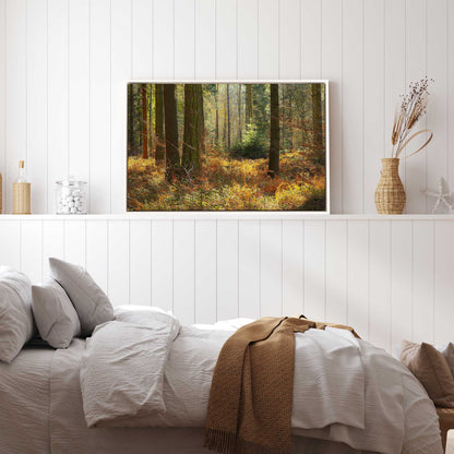 Autumn in the Woods Canvas Print
