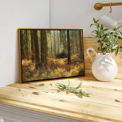 Autumn in the Woods Canvas Print