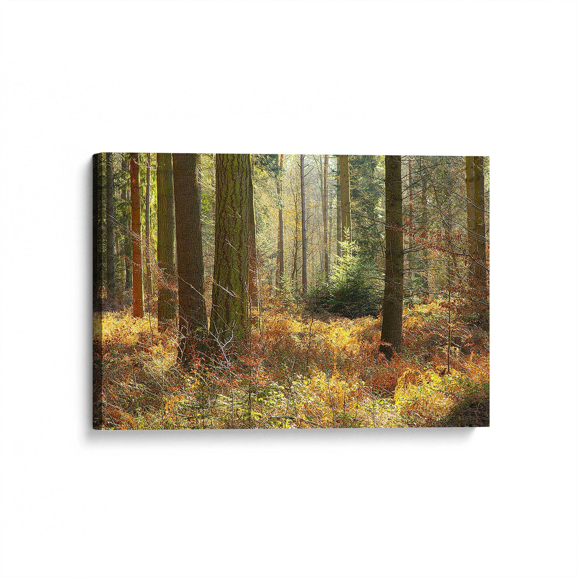 [Color:Stretched Canvas], Picture of the corner of the art