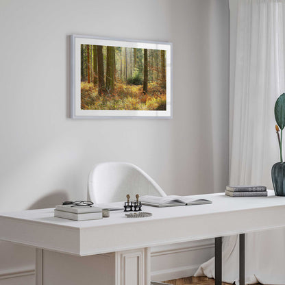 Autumn in the Woods Art Print