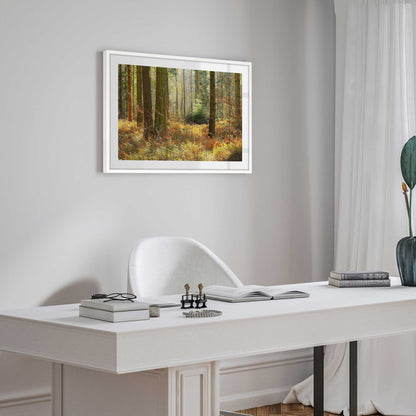 Autumn in the Woods Art Print