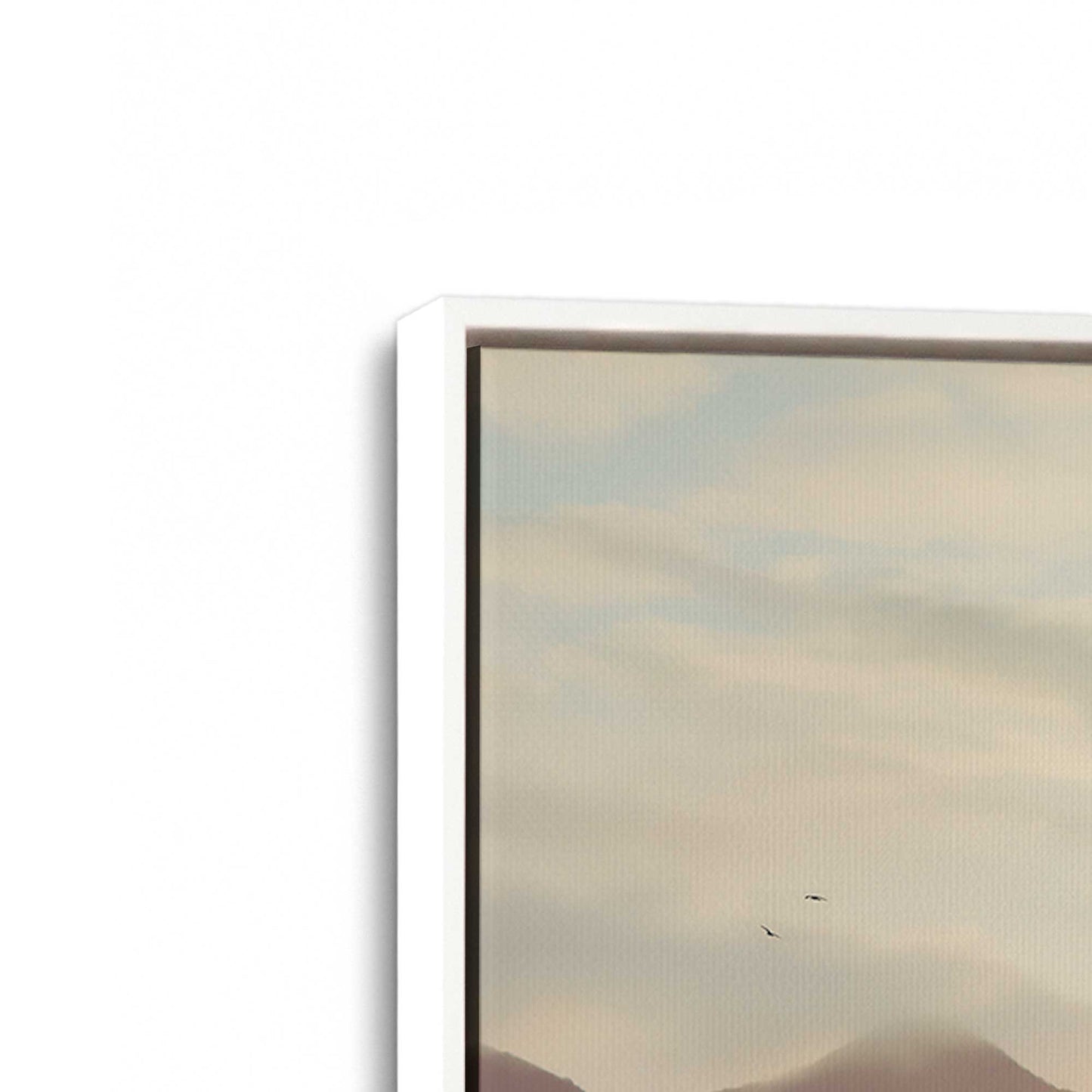 [Color:Opaque White], Picture of art in a White frame at an angle