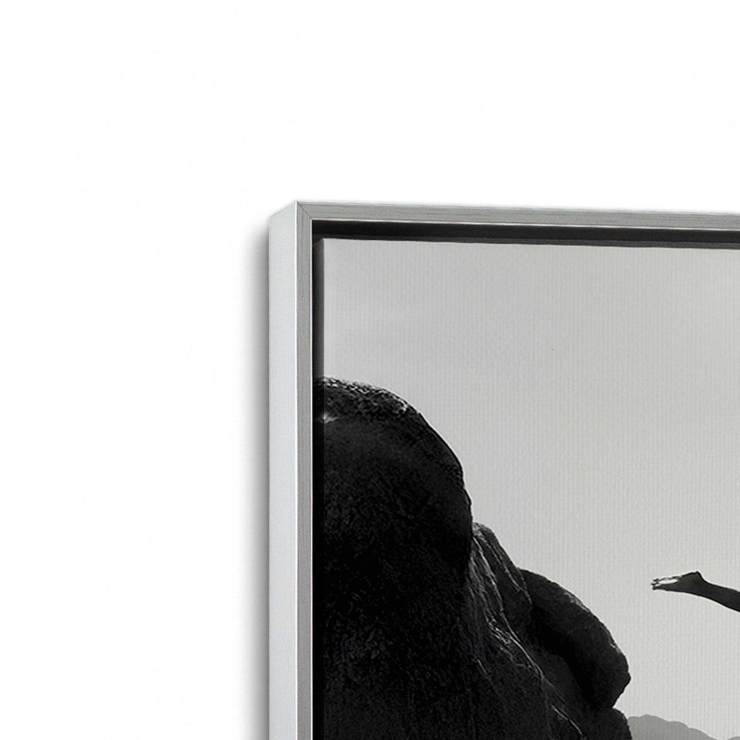 [Color:Polished Chrome], Picture of art in a Polished Chrome frame at an angle
