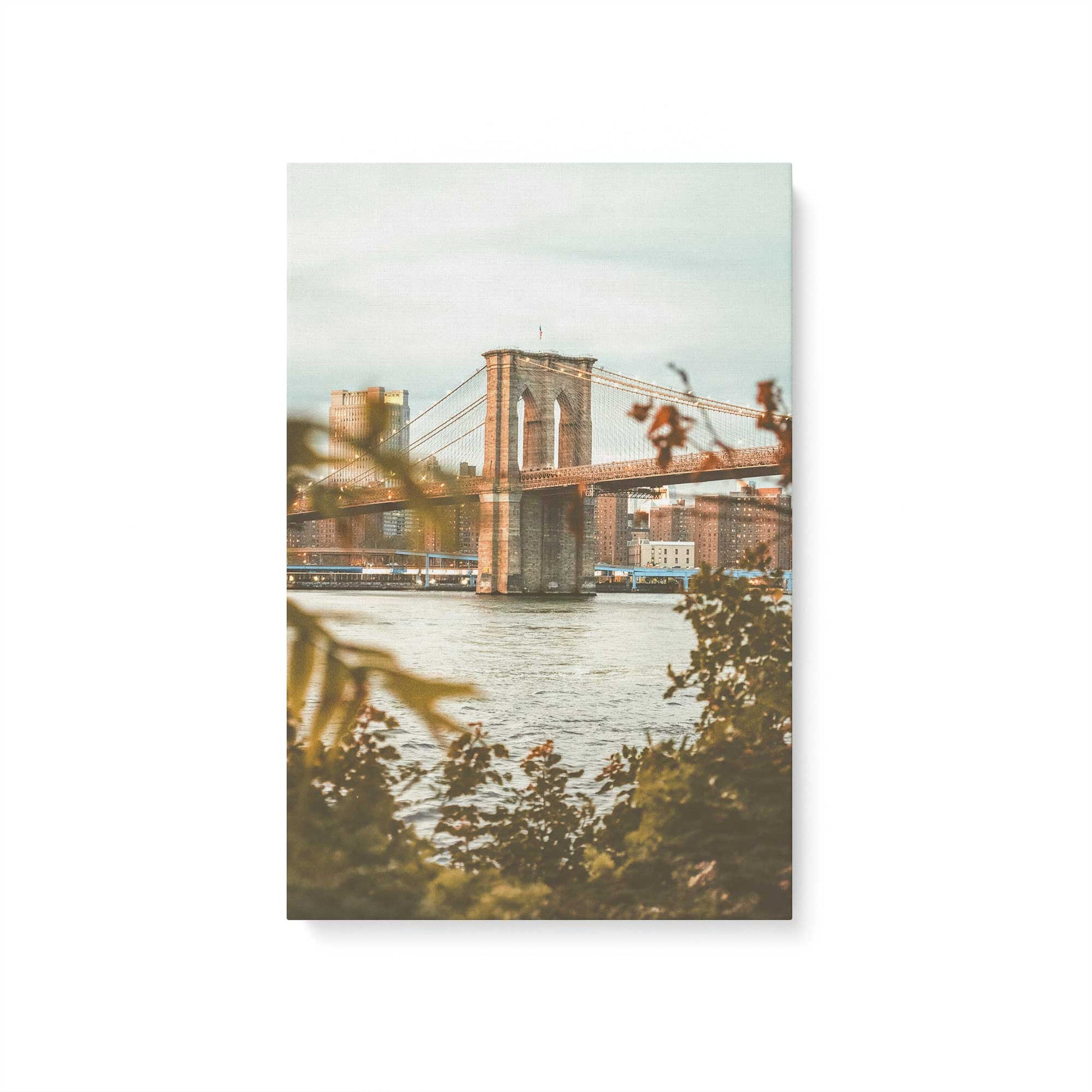 [Color:Stretched Canvas], Picture of art