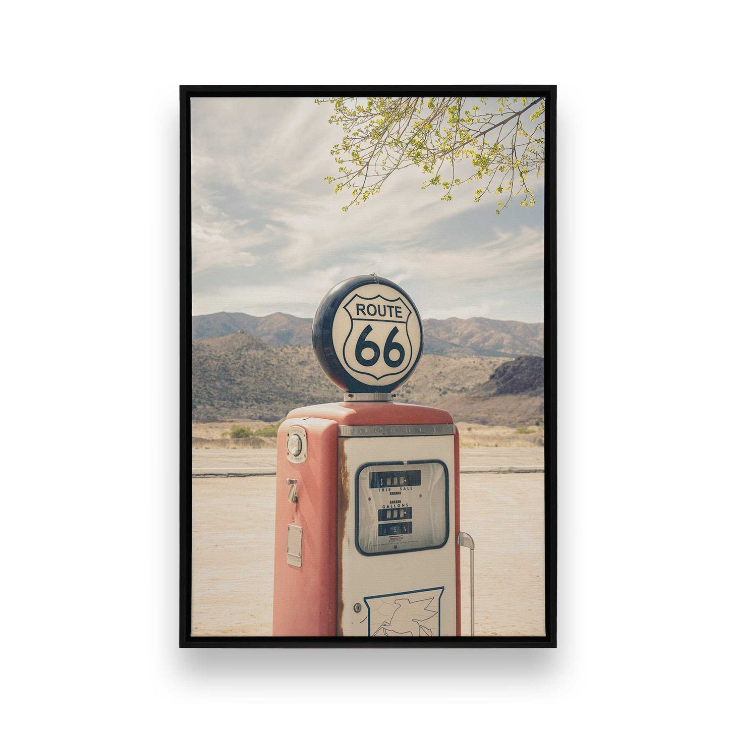 Desert Daydream Trio, Set of 3 Canvas Prints