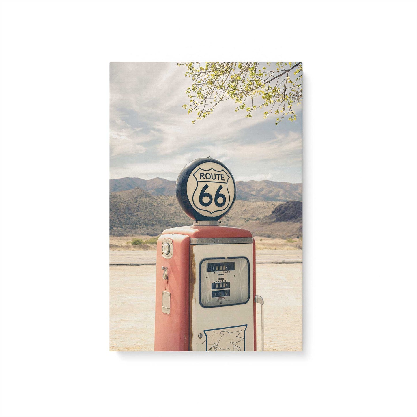 [Color:Stretched Canvas], Picture of art