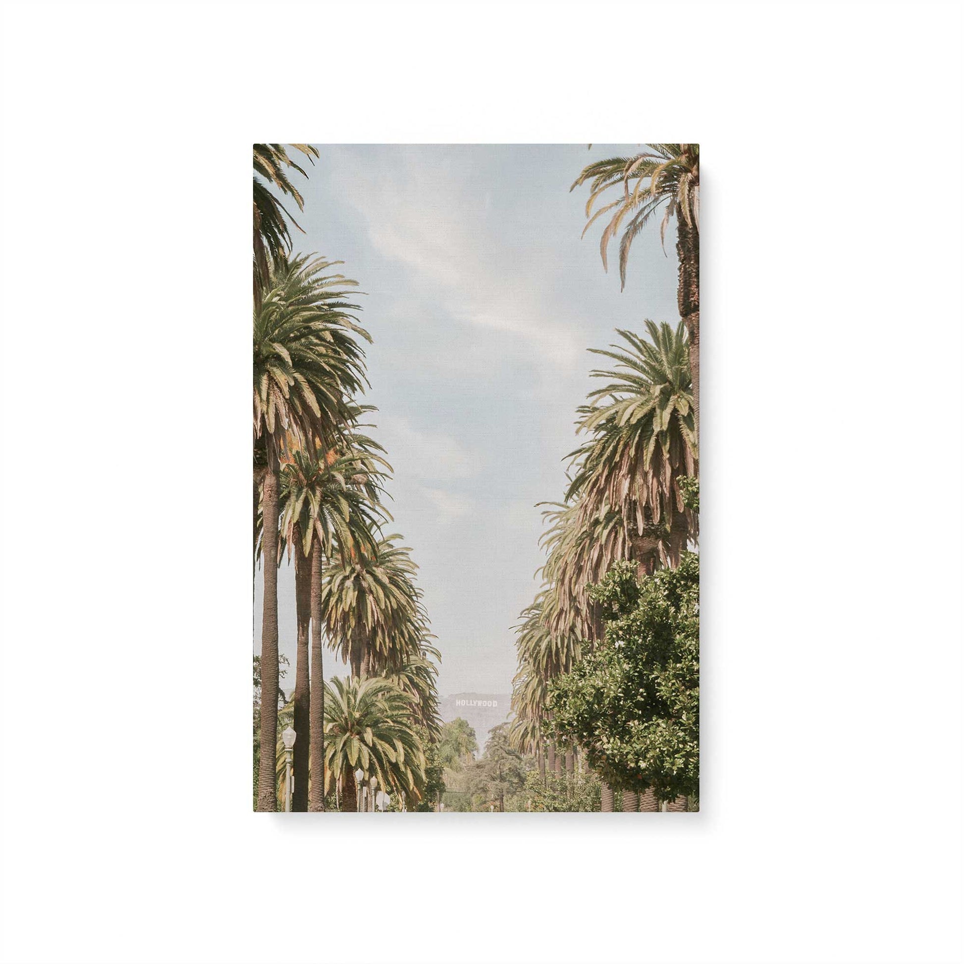[Color:Stretched Canvas], Picture of art