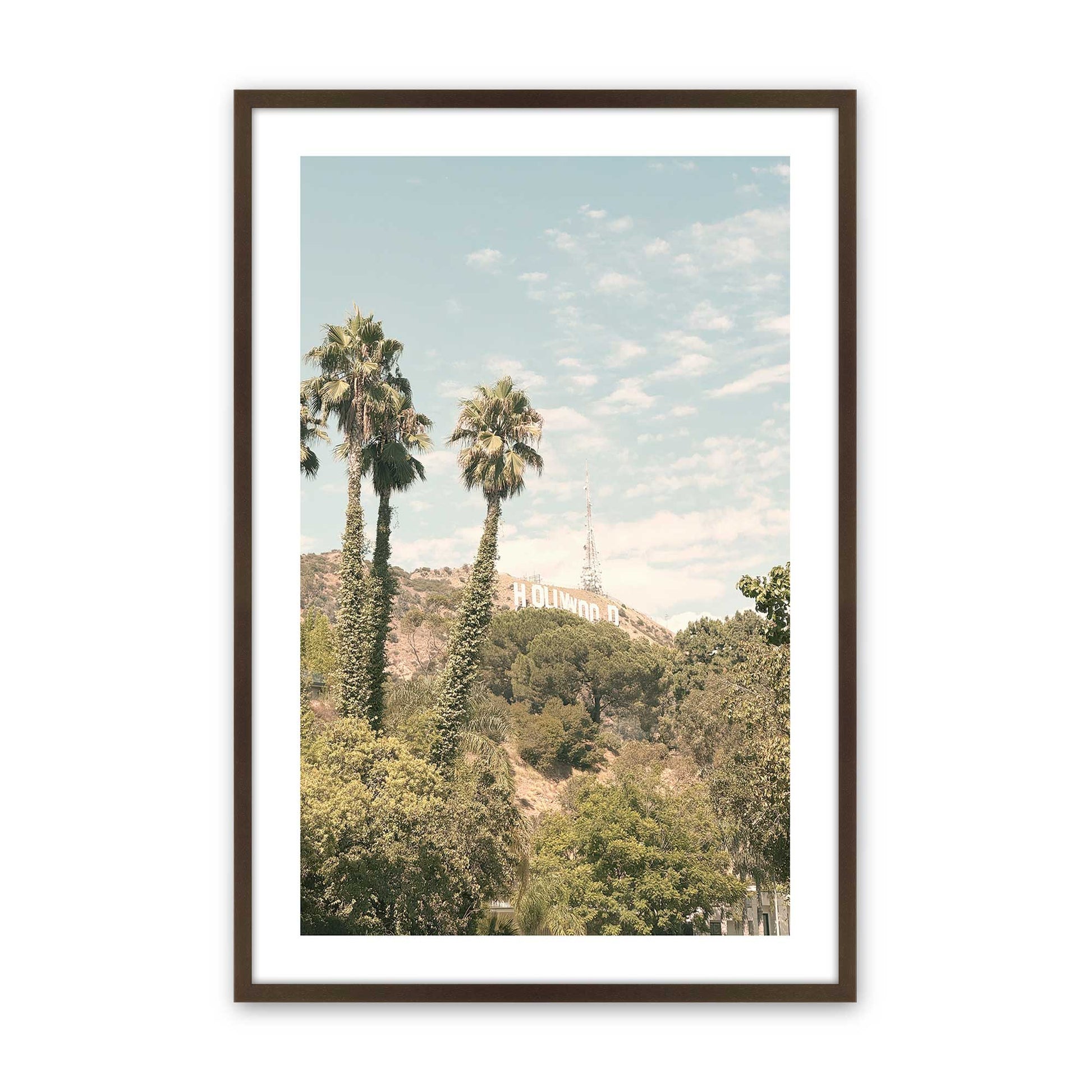[Color:Brown], Picture of art in a Brown frame
