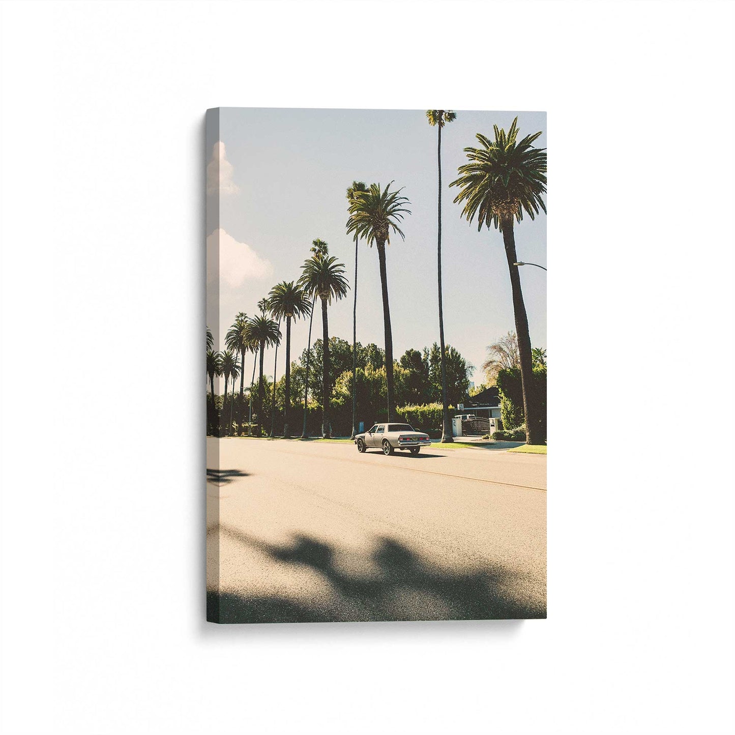 [Color:Stretched Canvas], Picture of art at an angle
