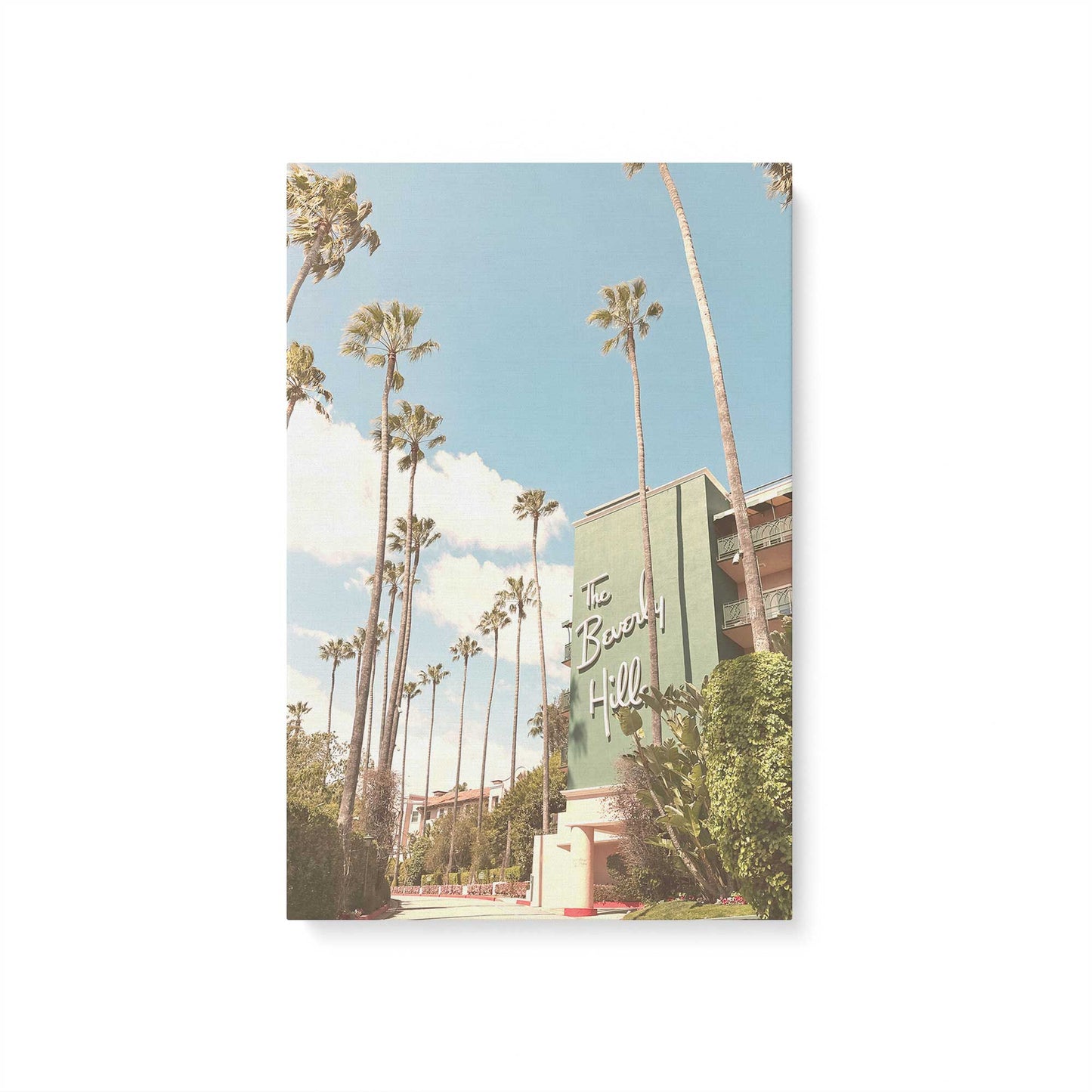 [Color:Stretched Canvas], Picture of art