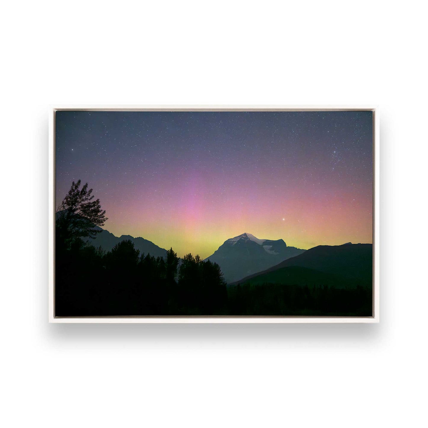 [Color:Opaque White], Picture of art in a White frame