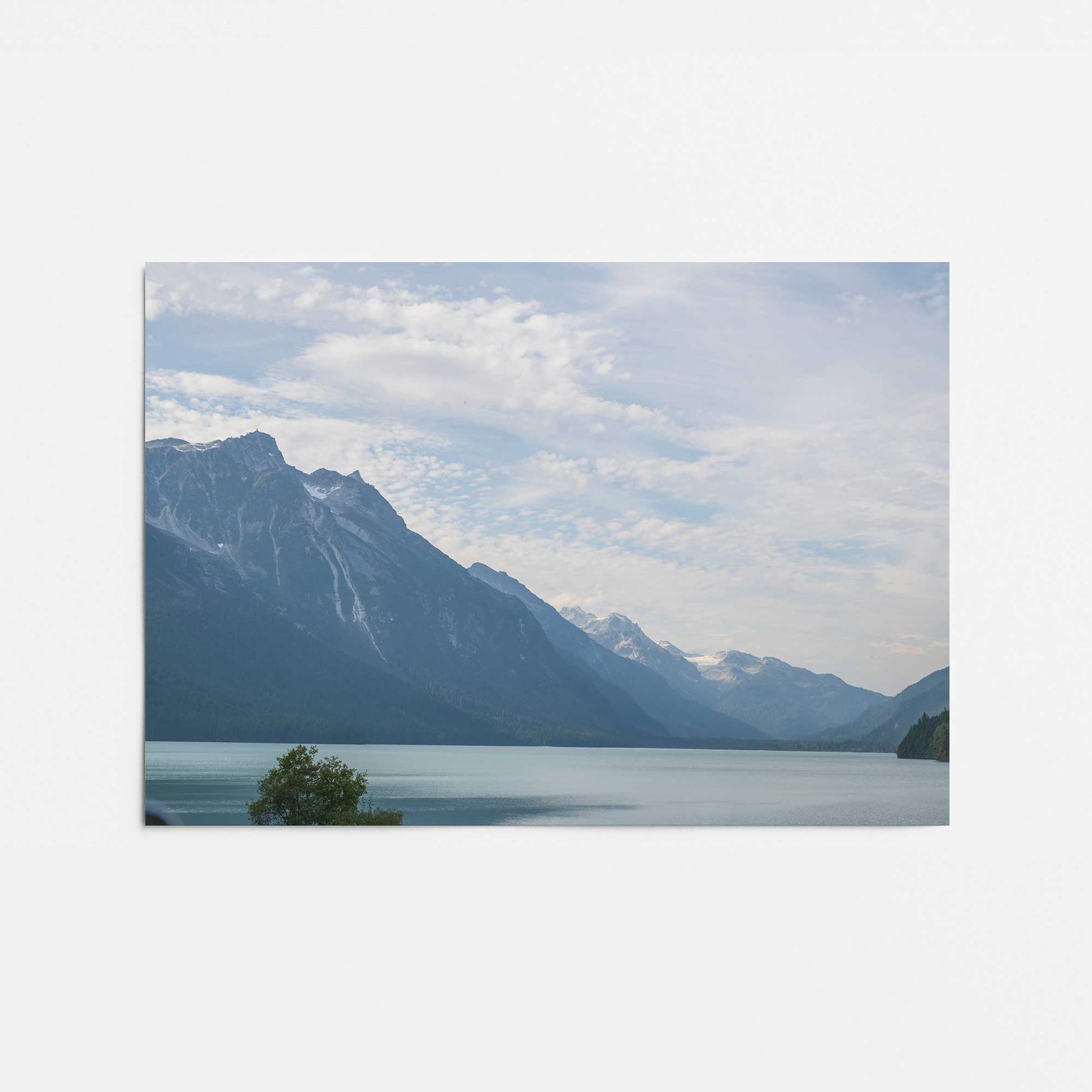 [Color:Rolled Print], Picture of close up of art