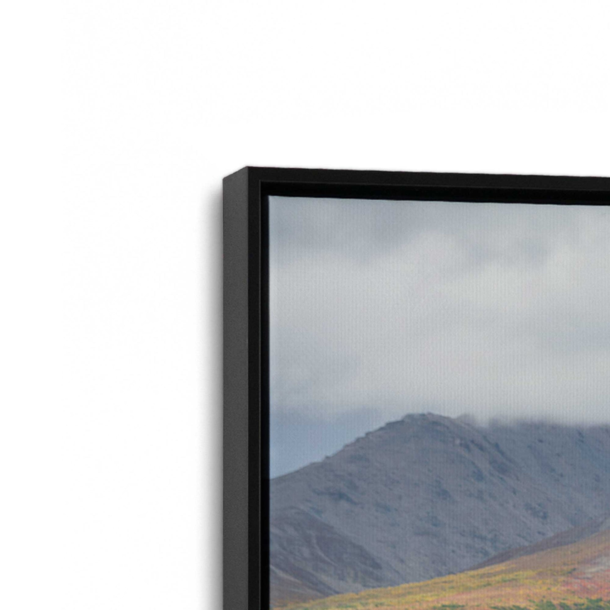 [Color:Satin Black], Picture of art in a Satin Black frame at an angle