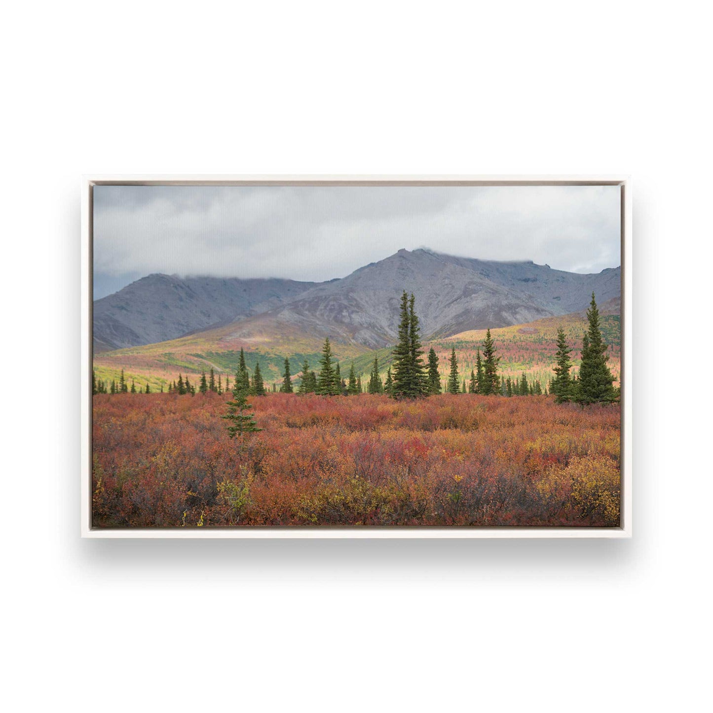 [Color:Opaque White], Picture of art in a White frame