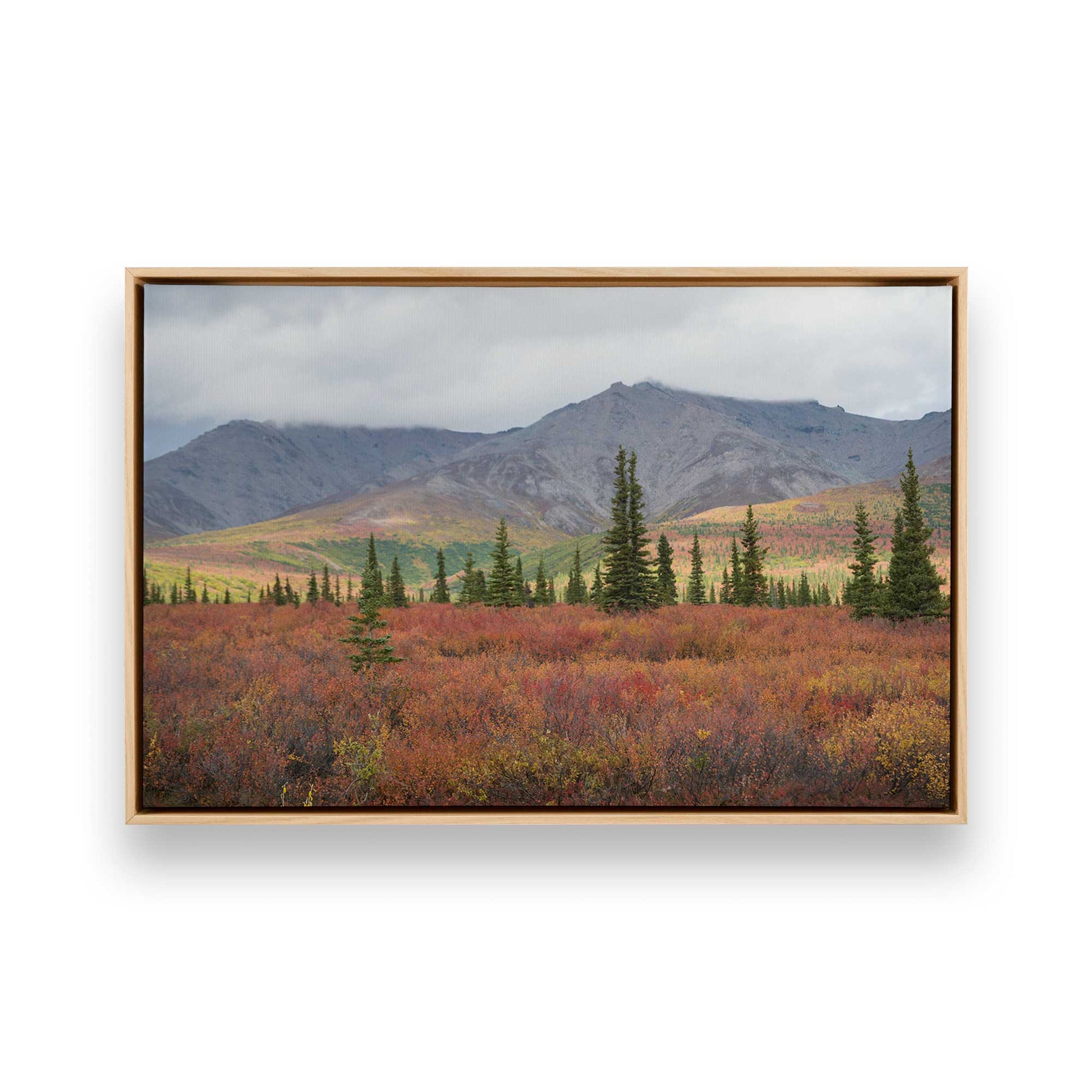 [Color:American Maple], Picture of art in a American Maple frame