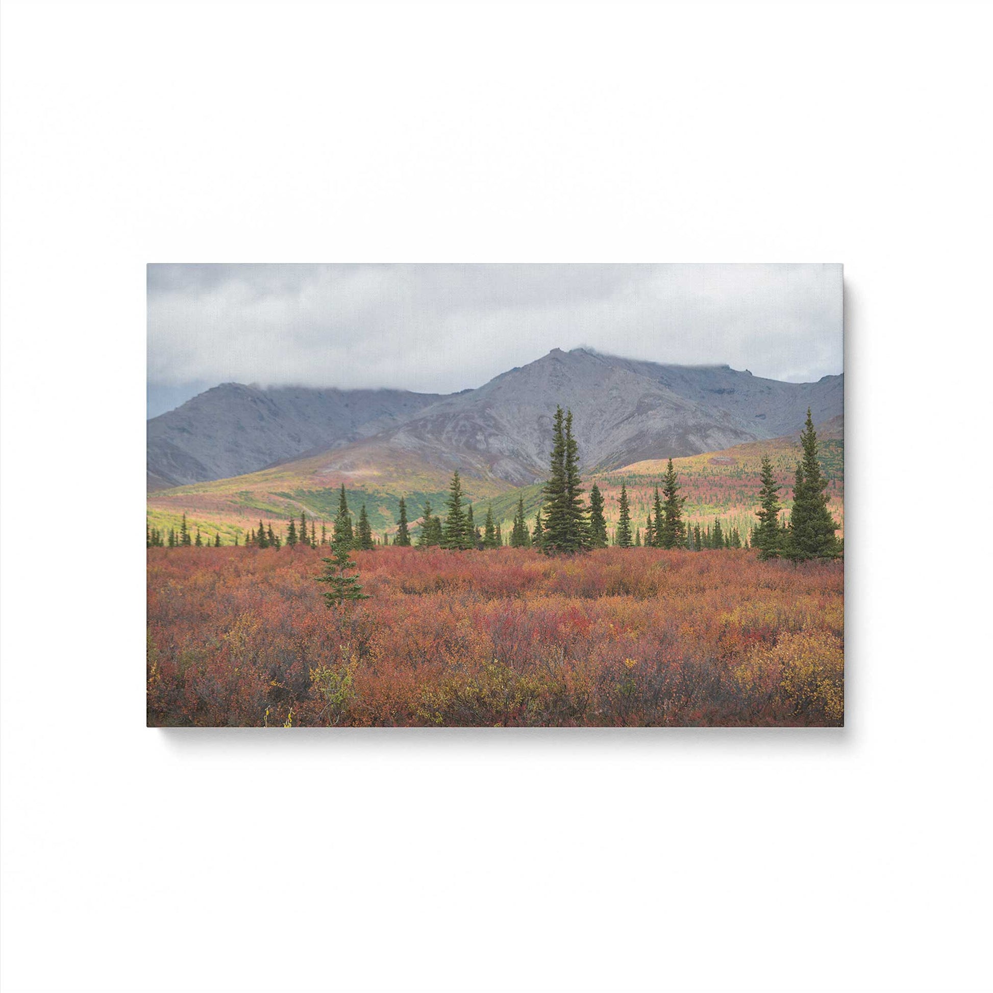 [Color:Stretched Canvas], Picture of art